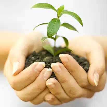 Two hands gently hold a small green plant growing in soil, symbolizing care, growth, and environmental protection, with a soft white background.